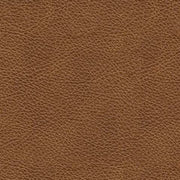 Carianna Queen Sofa Sleeper