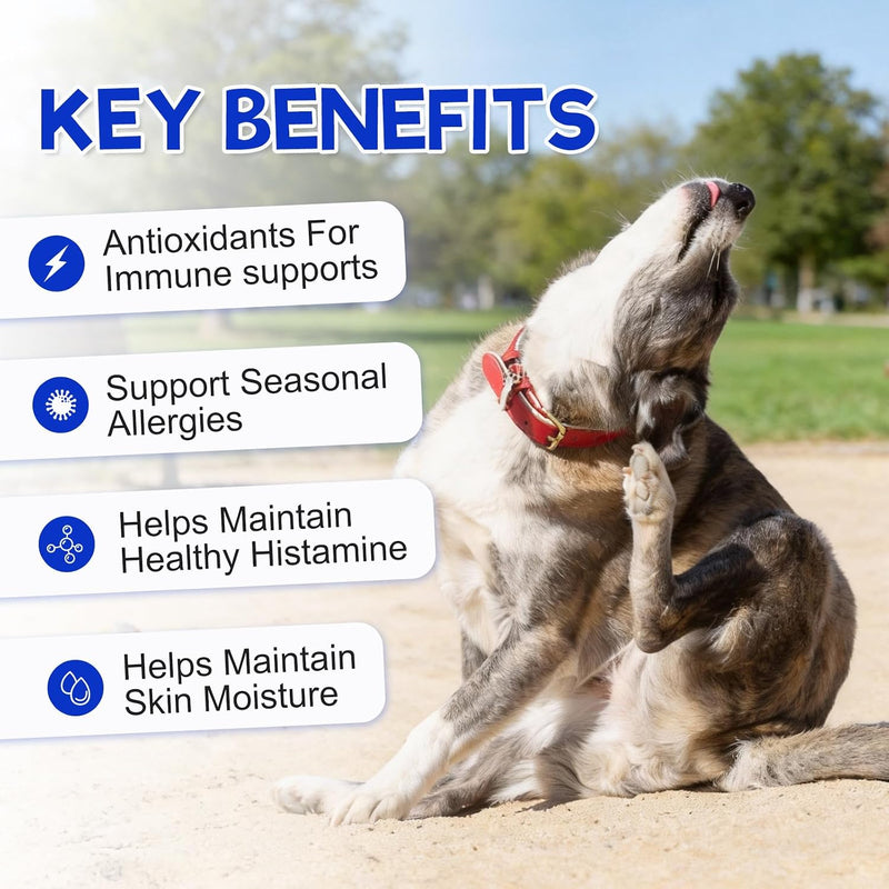 Dog Allergy Relief Chews – Vet-Formulated Itch Relief for Seasonal Allergies & Skin Health