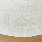Vercott Vase