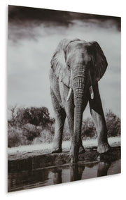 Glinyard Wall Art