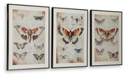 Jossletts Wall Art (Set of 3)