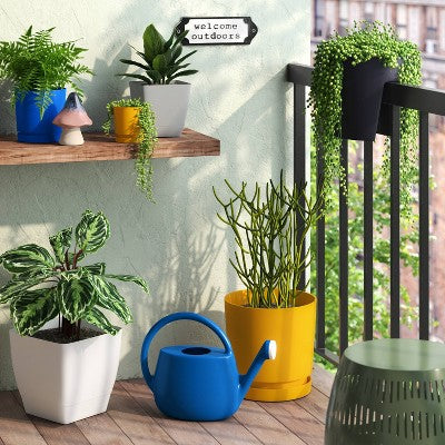2gal Plastic Watering Can Cobalt Blue - Room Essentials