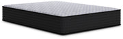 Anniversary Edition Plush Full Mattress