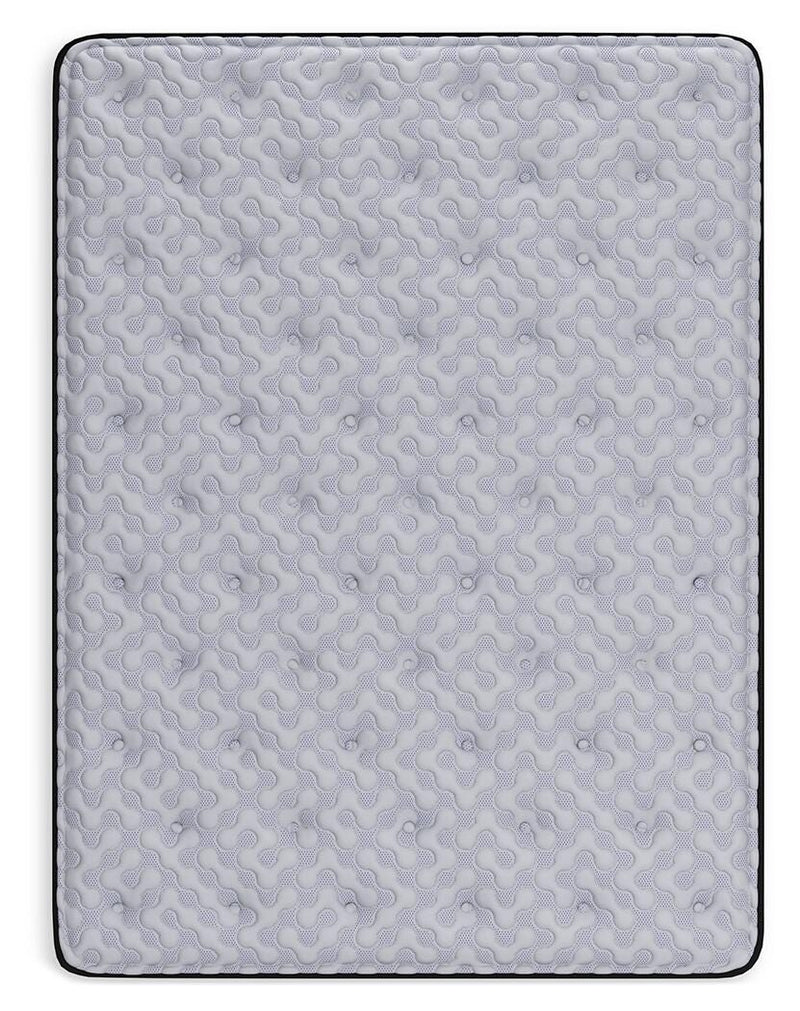 Anniversary Edition Plush Queen Mattress