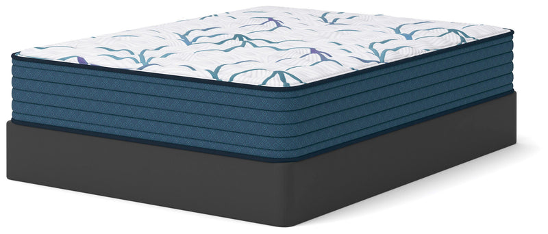 Limited Edition Firm 3.0 King Mattress
