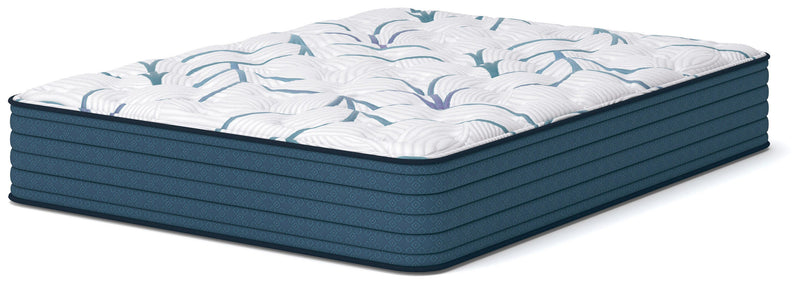 Limited Edition Plush 3.0 Full Mattress