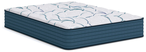 Limited Edition Plush 3.0 Full Mattress