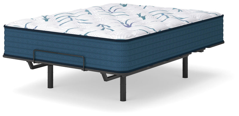 Limited Edition Plush 3.0 Twin XL Mattress