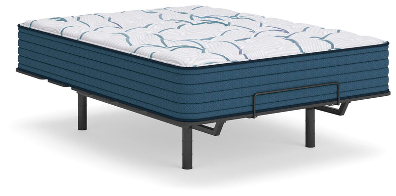 Limited Edition Plush 3.0 Full Mattress