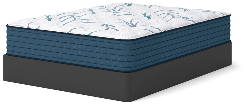 Limited Edition Plush 3.0 Twin XL Mattress