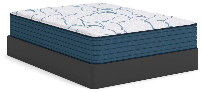 Limited Edition Plush 3.0 Twin XL Mattress