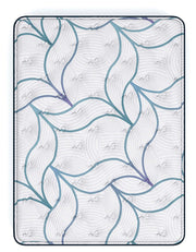 Limited Edition Plush 3.0 Full Mattress