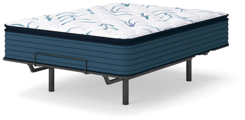 Limited Edition Plush PT 3.0 Full Mattress