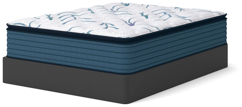 Limited Edition Plush PT 3.0 Full Mattress