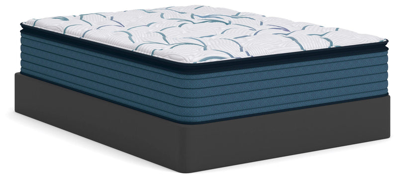 Limited Edition Plush PT 3.0 California King Mattress
