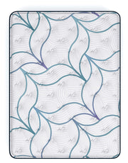 Limited Edition Plush PT 3.0 Full Mattress