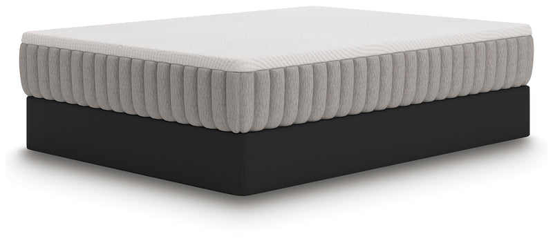 Terra Sleep Medium California King Mattress