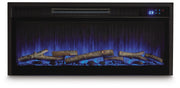 Entertainment Accessories Fireplace Insert