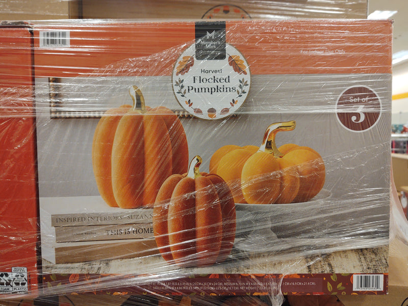FLOCKED PUMPKIN SET